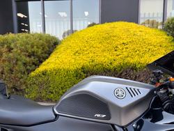 2024 Yamaha YZF-R7LA Grey