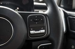 2025 GWM Cannon Premium