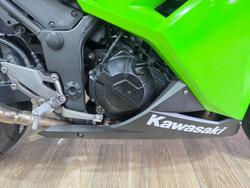 2014 Kawasaki NINJA 300 GREEN