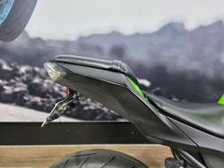 2014 Kawasaki NINJA 300 GREEN