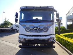 2025 HYUNDAI PAVISE D222