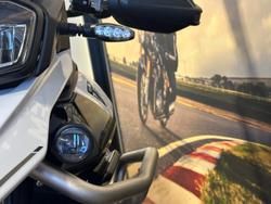 2024 Triumph Tiger 900 GT Pro Tiger White