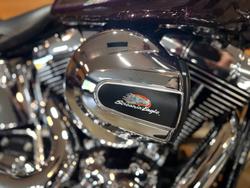 2017 Harley-davidson FLSTN SOFTAIL DELUXE Purple