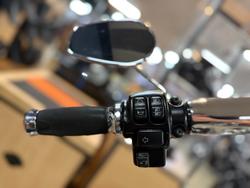 2017 Harley-davidson FLSTN SOFTAIL DELUXE Purple