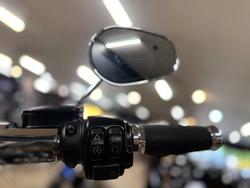 2017 HARLEY-DAVIDSON FLSTN SOFTAIL DELUXE