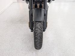 2026 Triumph TIGER 1200 GT PRO ALPINE SNOWDONIA WHITE