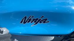 2019 Kawasaki NINJA 1000