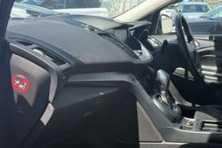 2019 Ford Escape Trend