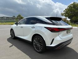 2023 Lexus RX 350h Sports Luxury