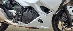 2025 Kawasaki NINJA 500 WHITE