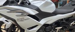 2025 Kawasaki NINJA 500 WHITE