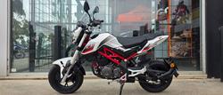 2023 BENELLI TNT 125 WHITE