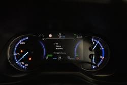 2020 Toyota RAV4 Cruiser