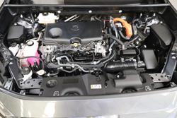 2020 Toyota RAV4 Cruiser