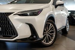 2023 Lexus NX 350h Sports Luxury