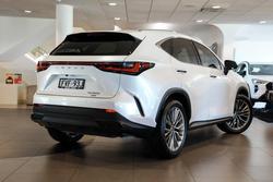 2023 Lexus NX 350h Sports Luxury