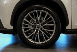 2023 Lexus NX 350h Sports Luxury