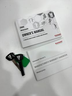 2025 Kawasaki Z900 (ZR900) Silver/Black