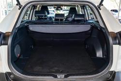 2019 Toyota RAV4 Cruiser