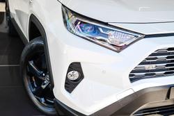 2019 Toyota RAV4 Cruiser