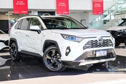 2019 Toyota RAV4 Cruiser