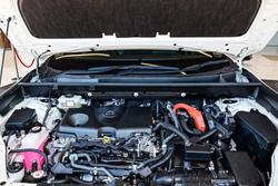 2019 Toyota RAV4 Cruiser