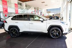 2019 Toyota RAV4 Cruiser