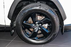 2019 Toyota RAV4 Cruiser