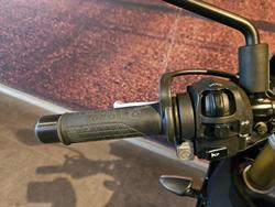 2016 Aprilia Tuono V4 1100 RR Tuono Black