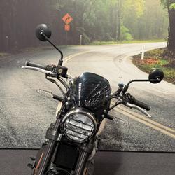 2025 Royal Enfield 2025 650CC INTERCEPTOR BEAR 650 Road White