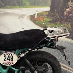 2025 Royal Enfield 2025 650CC INTERCEPTOR BEAR 650 Road White