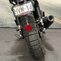 2025 Royal Enfield 2025 650CC INTERCEPTOR BEAR 650 Road White