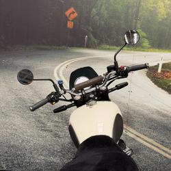 2025 Royal Enfield 2025 650CC INTERCEPTOR BEAR 650 Road White