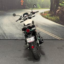 2025 Royal Enfield 2025 650CC INTERCEPTOR BEAR 650 Road White