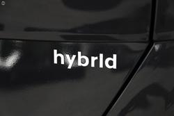 2025 Hyundai Kona Hybrid Elite