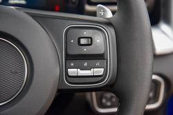 2025 GWM Cannon Vanta