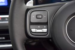 2025 GWM Cannon Vanta