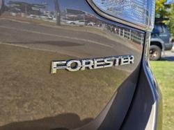 2025 Subaru Forester 2.5i Premium S5 MY24 AWD Brilliant Bronze