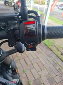 2023 Honda CMX 500 GREY