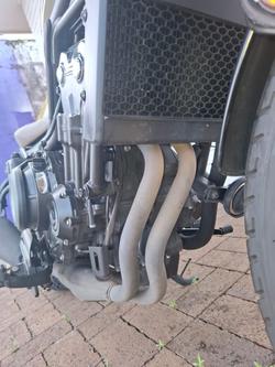 2023 Honda CMX 500 GREY