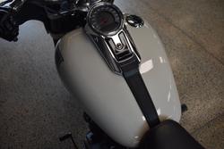 2022 Harley-davidson FLSB SPORT GLIDE (107) WHITE SAND PEARL
