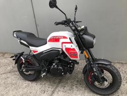 2025 CFMOTO XO Papio Trail