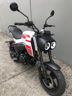 2025 CFMOTO XO Papio Trail