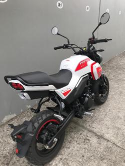 2025 CFMOTO XO Papio Trail