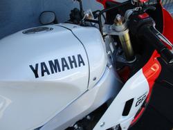 2024 Yamaha XSR900GP (MTM890ASP) RED/WHITE