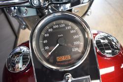 2017 HARLEY-DAVIDSON FLSTN SOFTAIL DELUXE