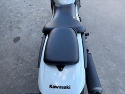 2025 Kawasaki ELIMINATOR