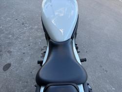 2025 Kawasaki ELIMINATOR