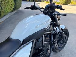 2025 Kawasaki ELIMINATOR