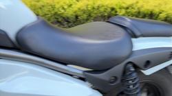 2025 Kawasaki ELIMINATOR